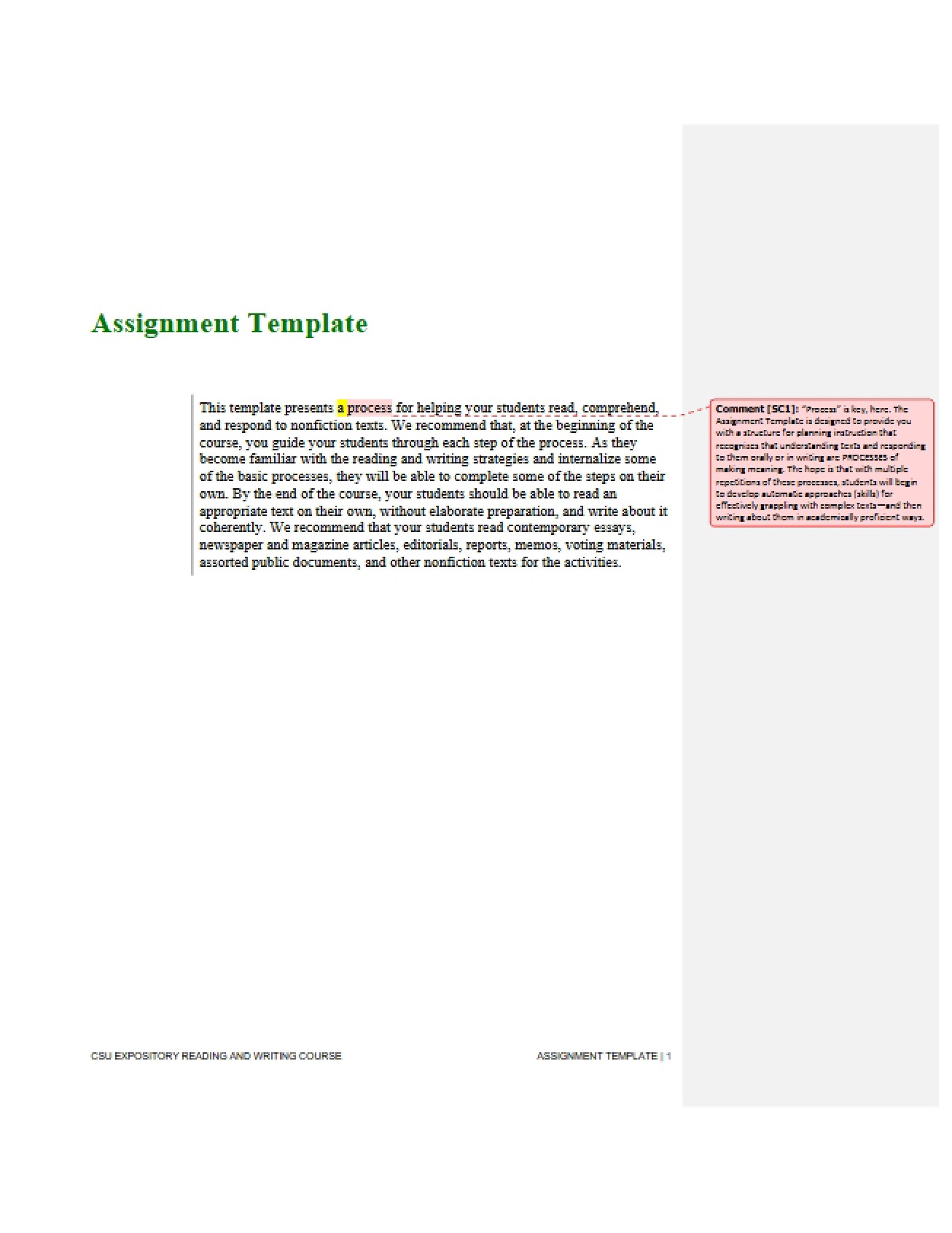 Annotated Assignment Template