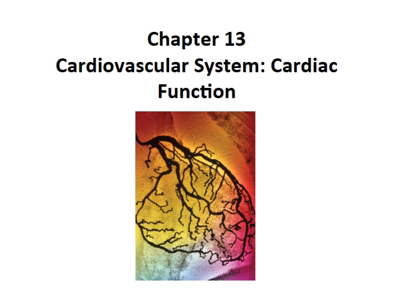 Topic 18 Handout Cardiac Function