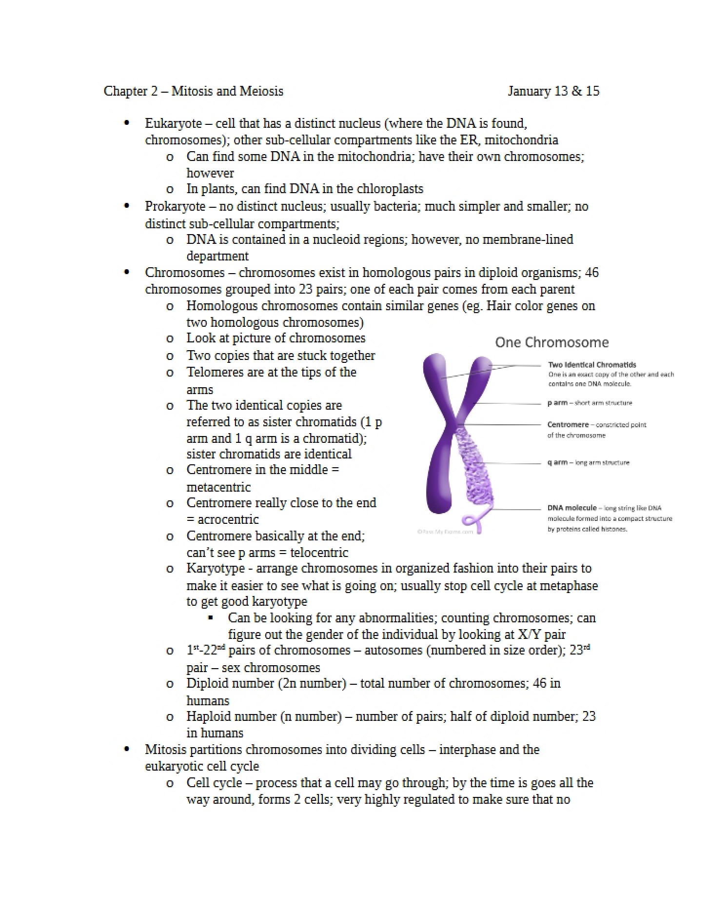 Mitosis and Meiosis Chapter 2