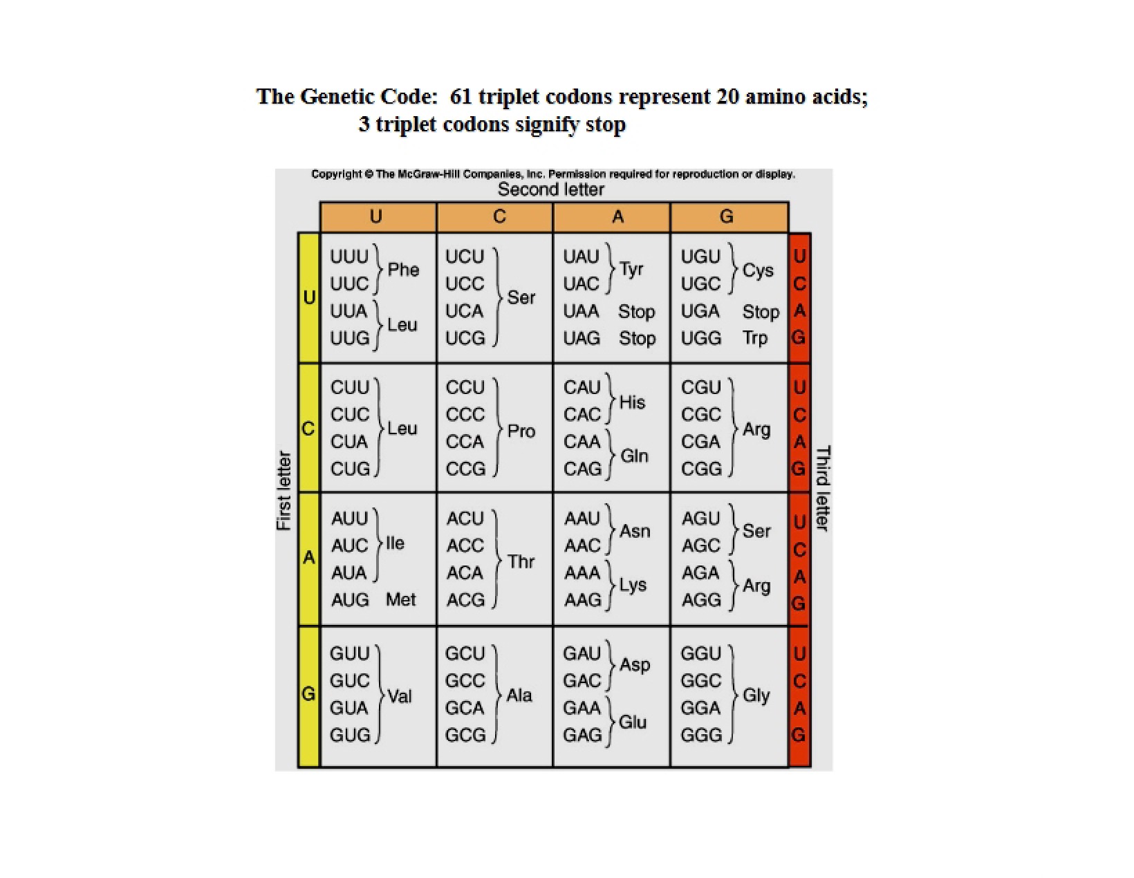 Deciphering the Genetic Code