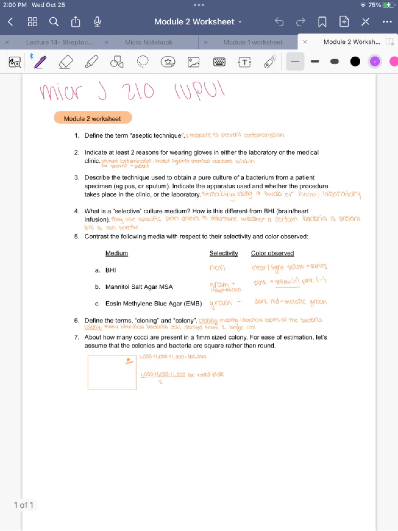 Second Practical Worksheet
