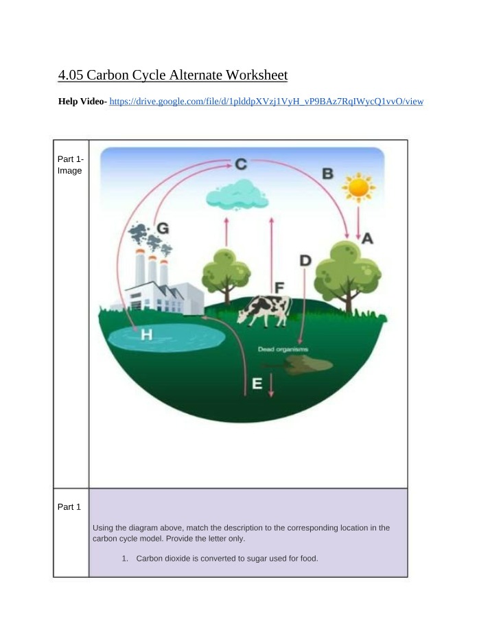 Carbon Cycle Alternate Worksheet 4.05