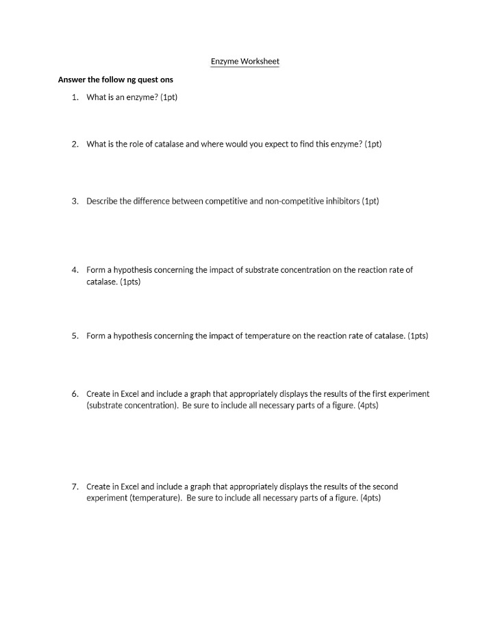 Worksheet on Enzymes