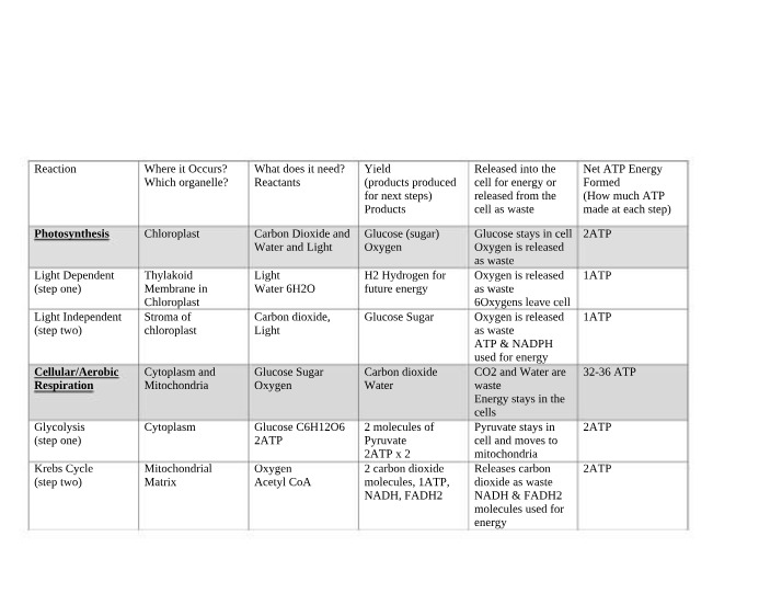 Photosynthesis vs. Cellular Respiration