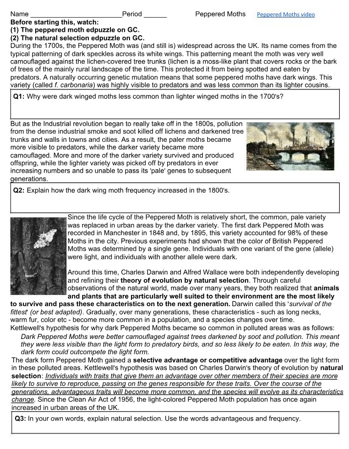 Natural Selection and Peppered Moths - How Pollution Changed Populations