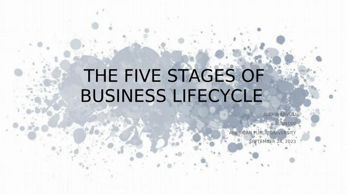 Five Stages of the Business Lifecycle