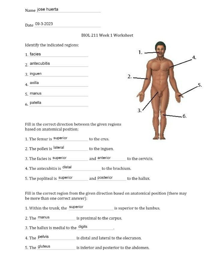 BIO 211 - Week 1 Worksheet