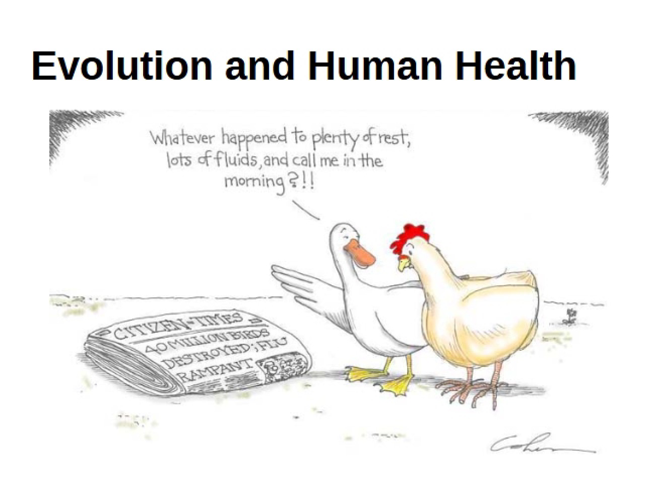 Evolution Lecture 15 (2014)