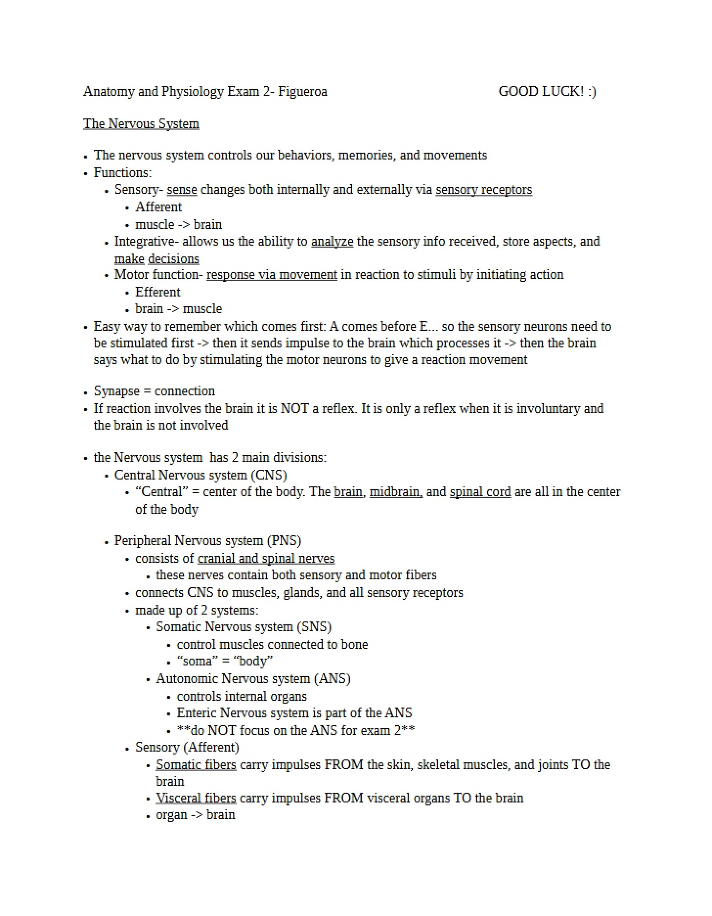 Nervous System Study - 13 Pages