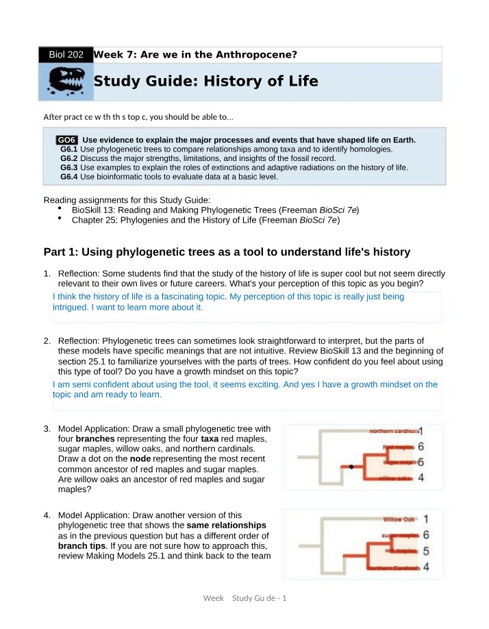 History of Life Study Guide