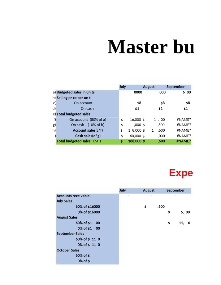 Budget for CAPRI Limited