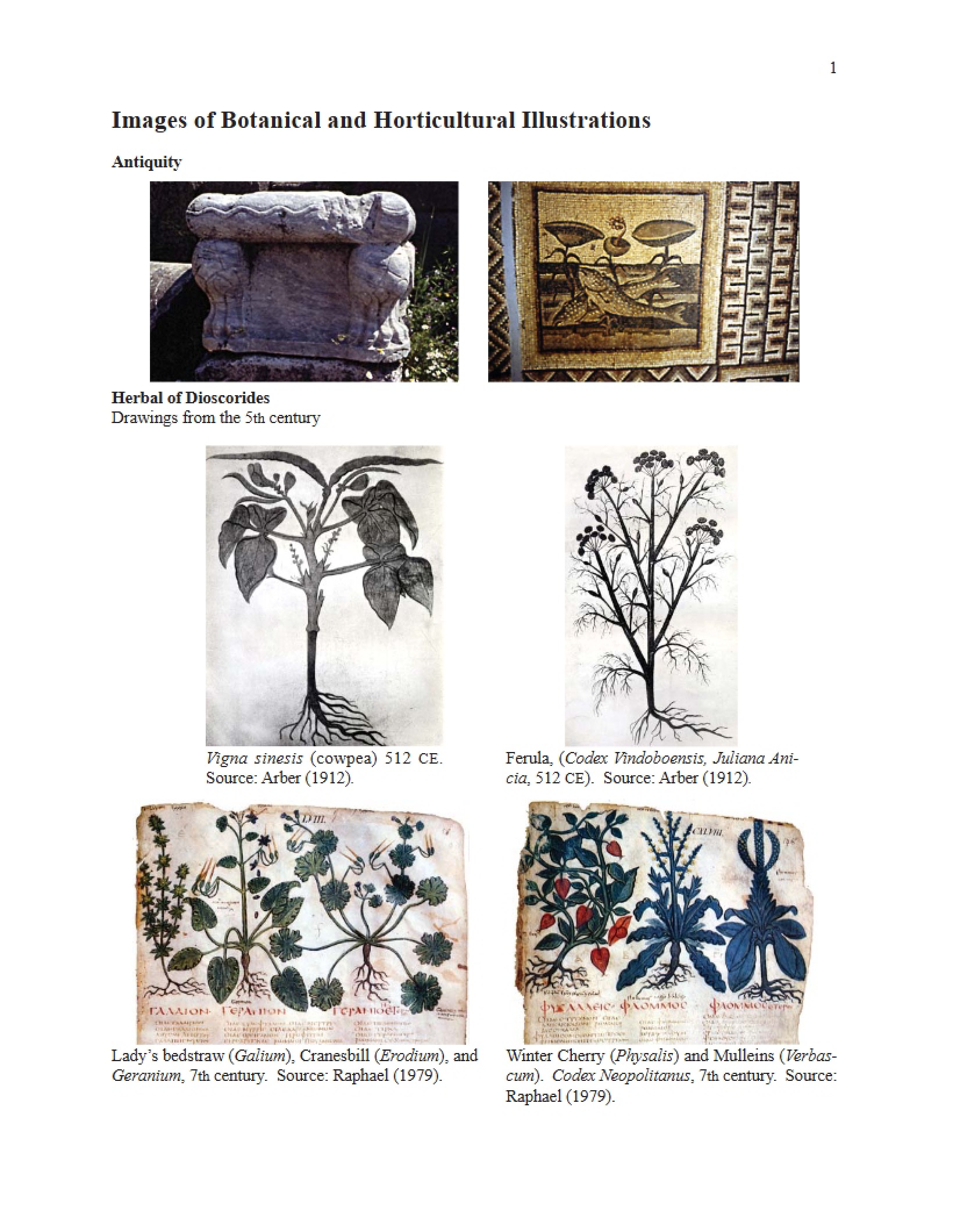 Illustrations of Botany and Horticulture