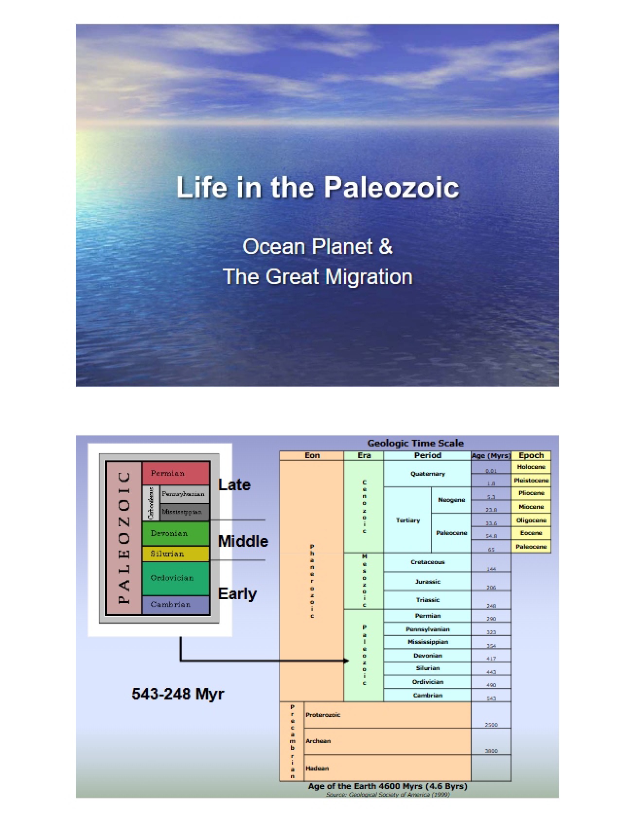 Paleozoic Era Life