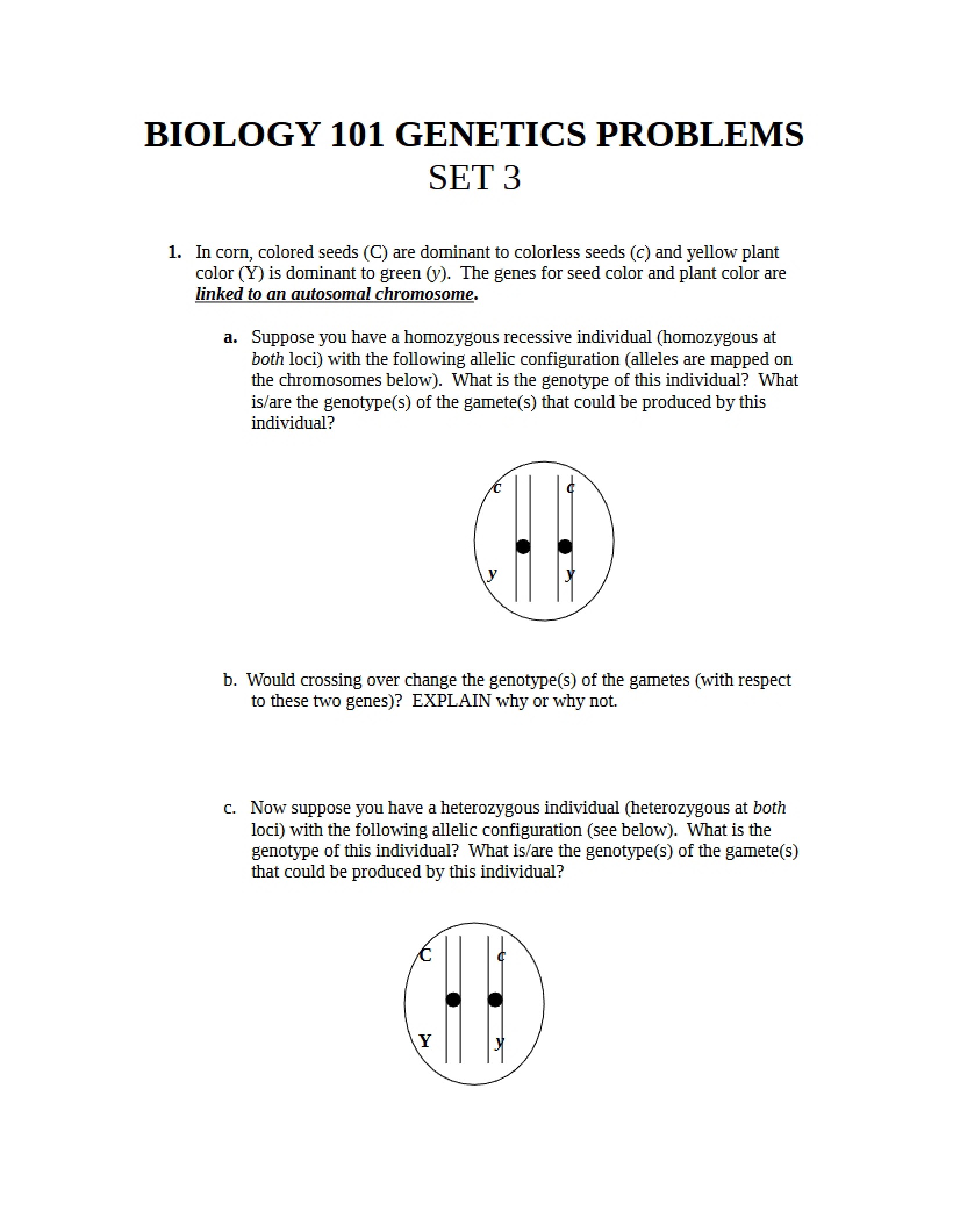 Problems in Genetics