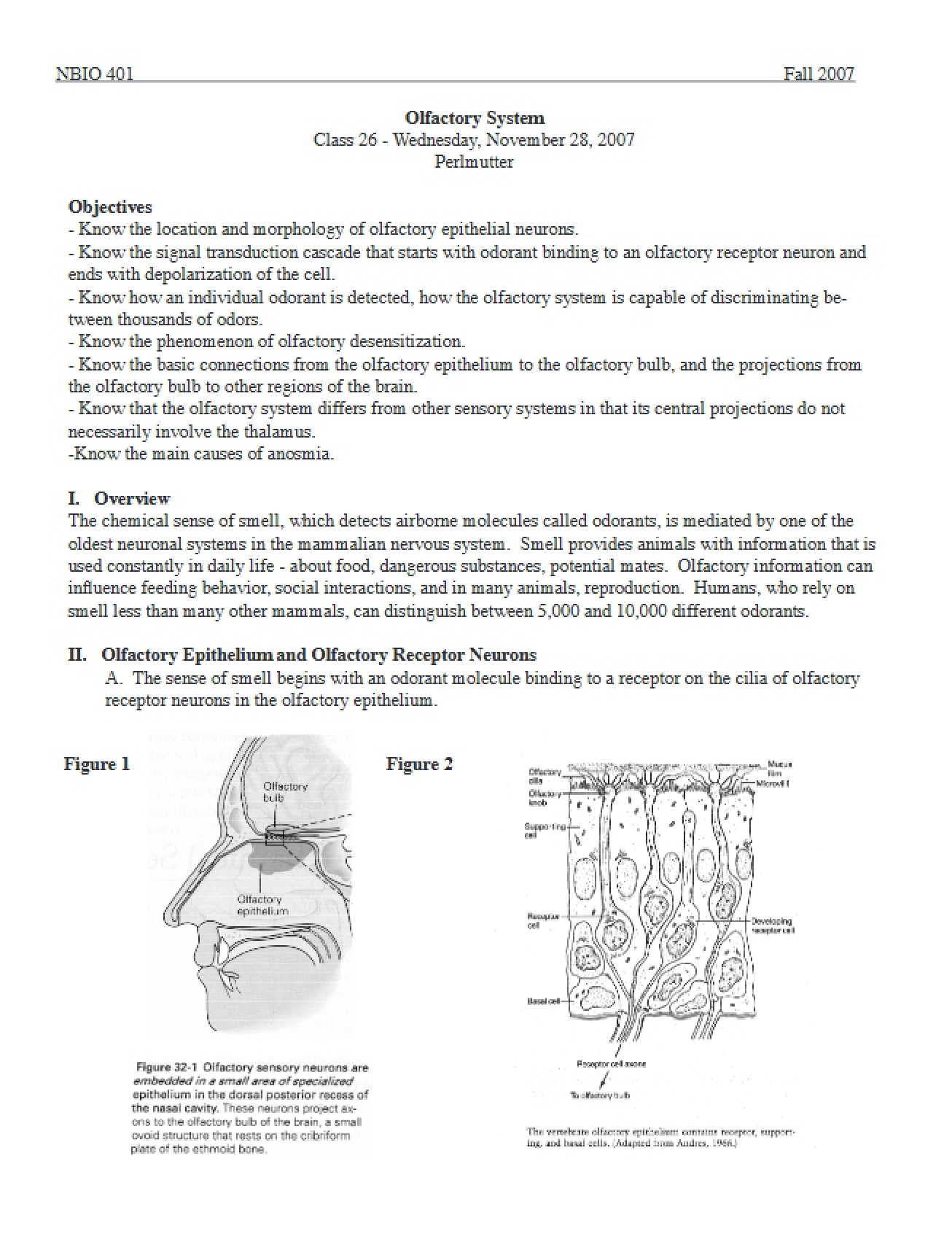 System of Olfaction