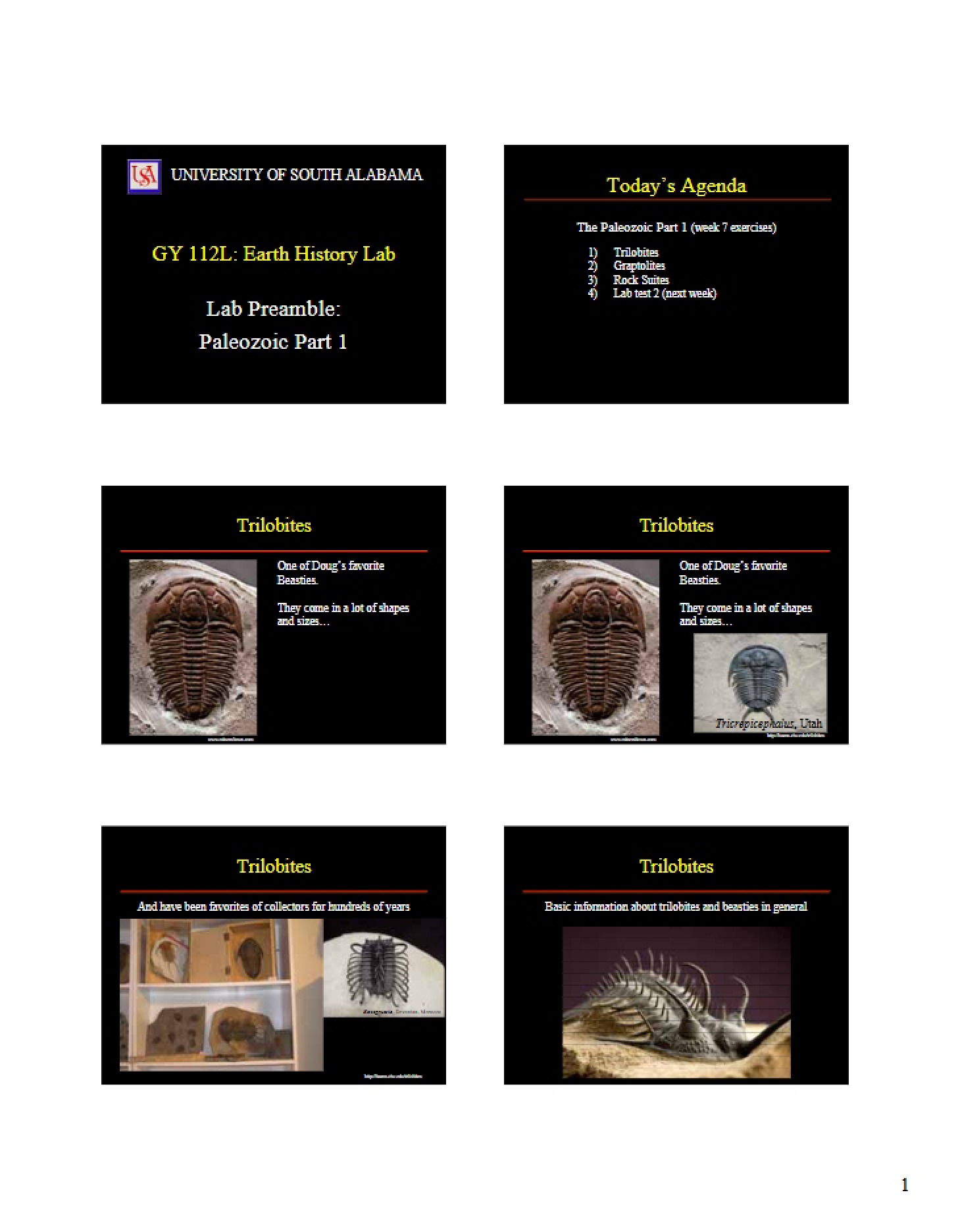 Paleozoic Lab Part 1 Preamble
