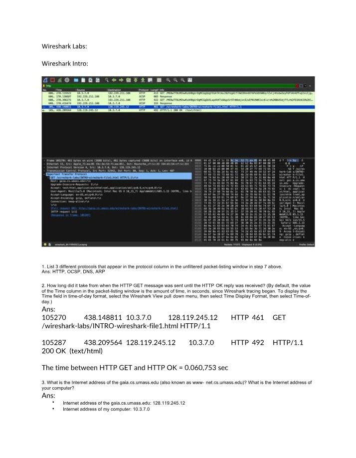 Wireshark Lab - DNS, HTTP, ARP, and Protocols