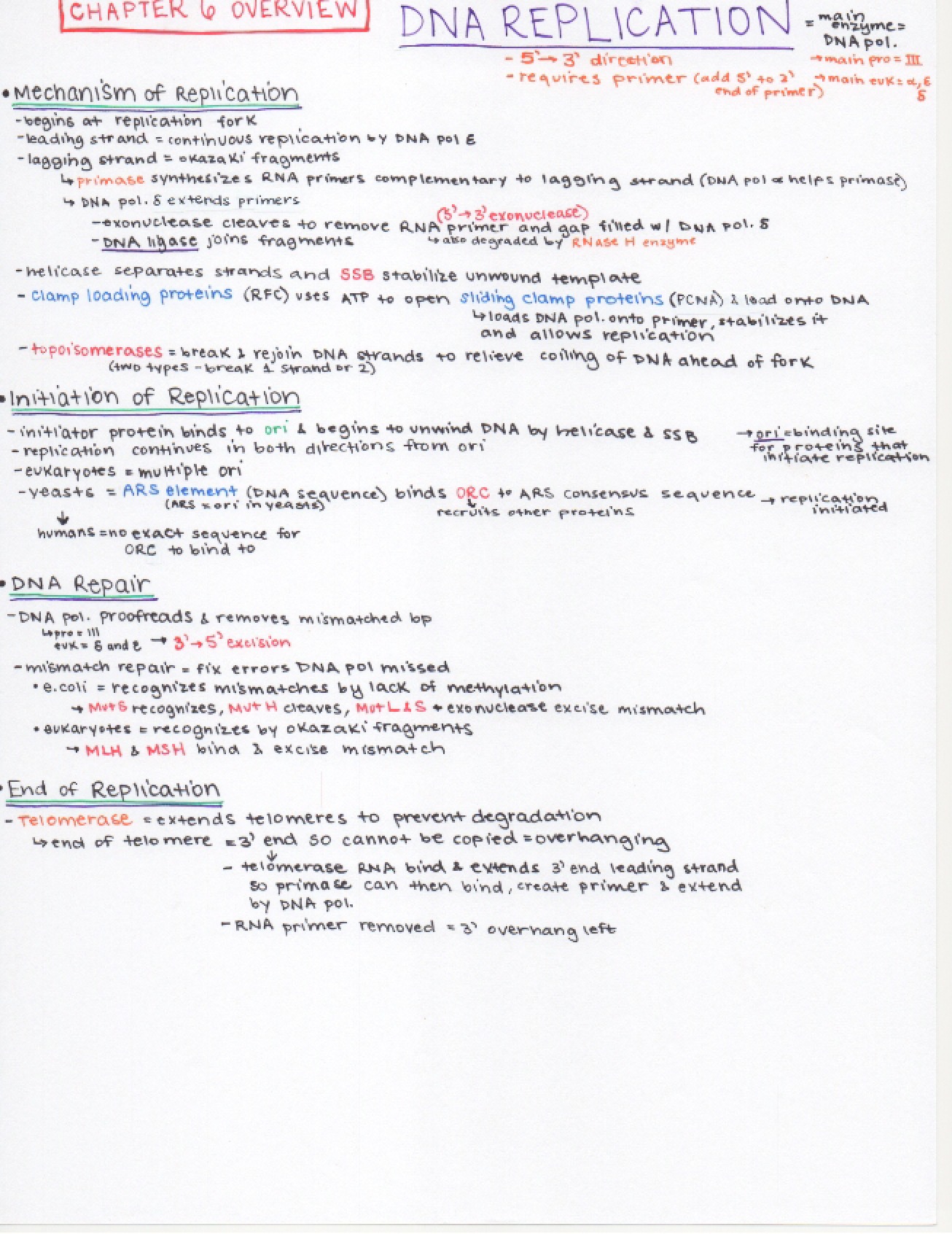 Third Set of Notes for Cell Biology