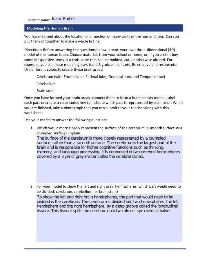 Worksheet on Modeling the Human Brain