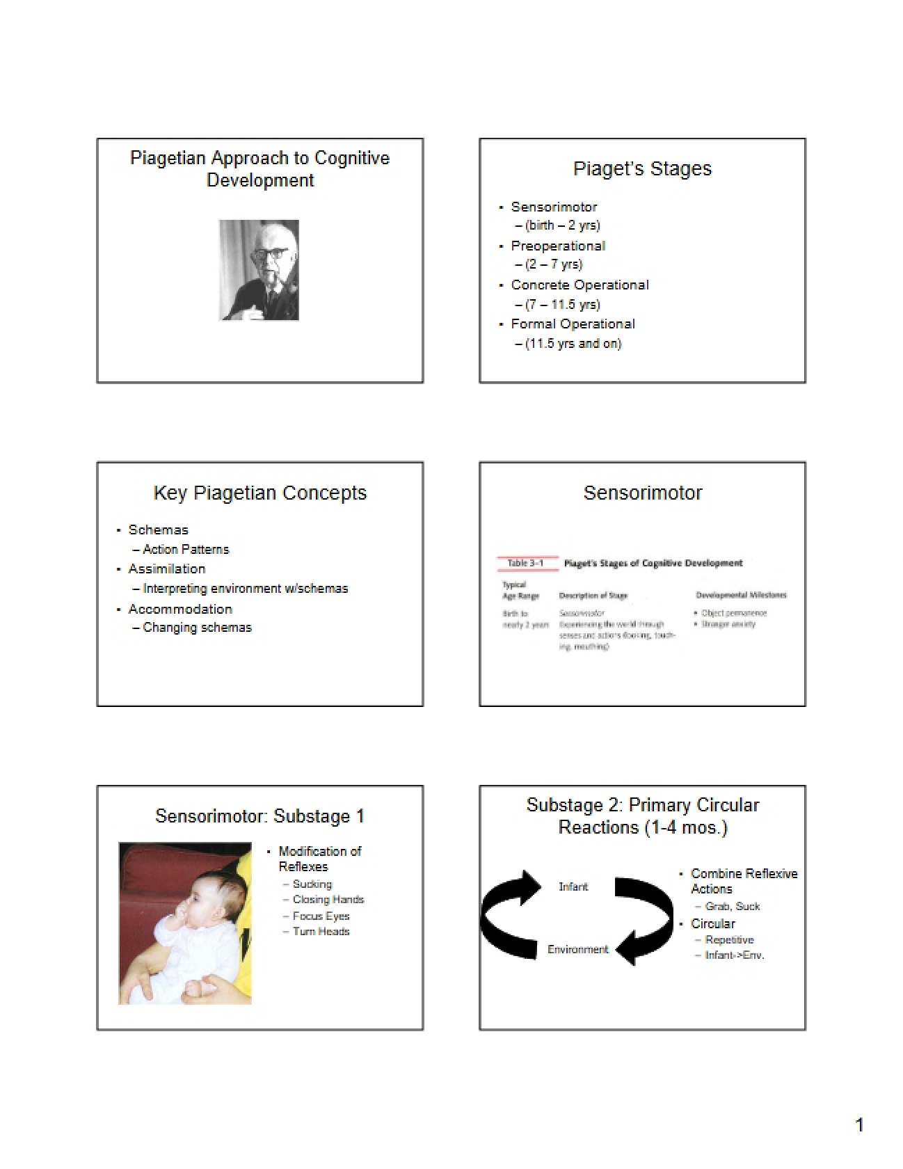 Piaget's Cognitive Development Perspective