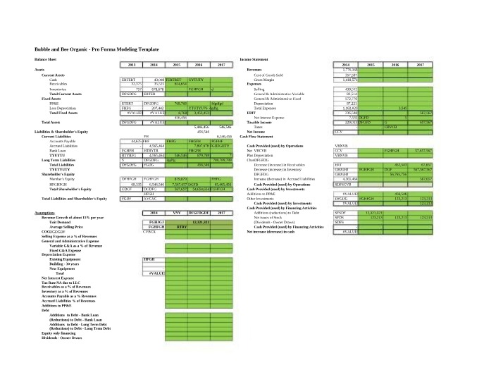 Pro Forma Modeling Template - Bubble and Bee Organic Balance