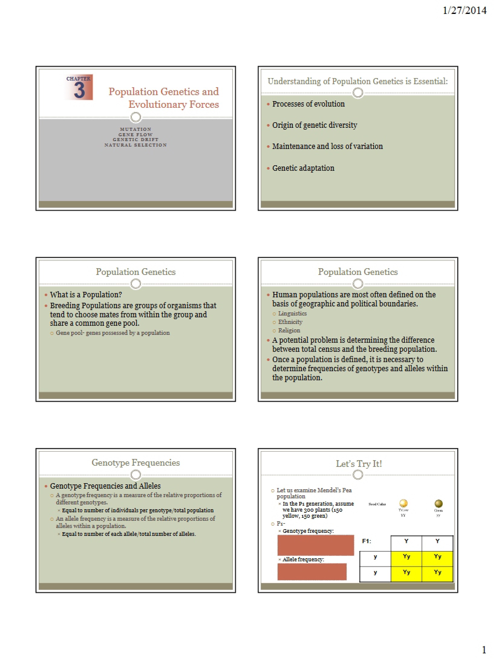 Evolutionary Forces and Population Genetics