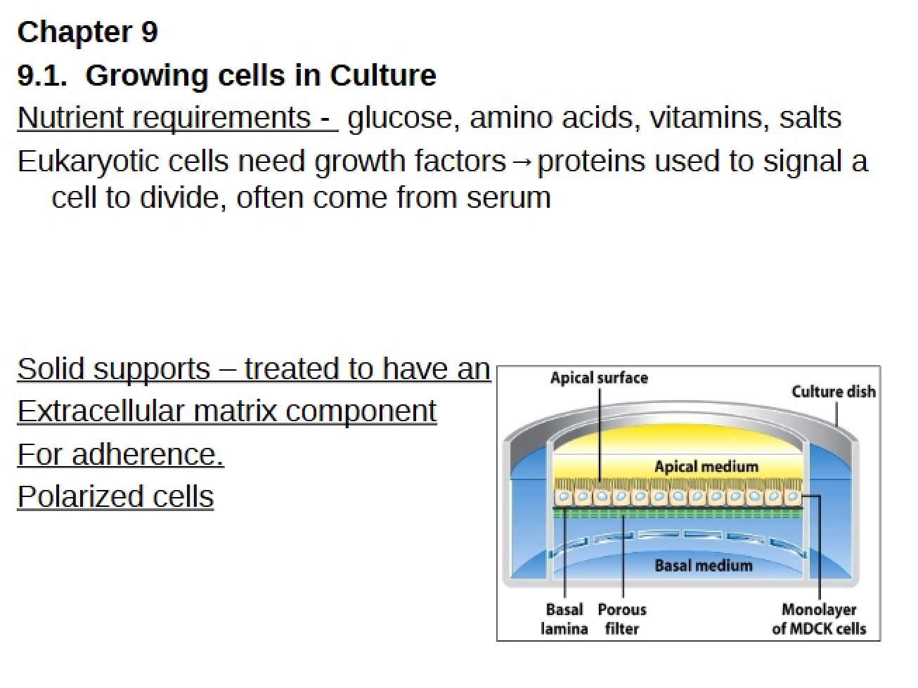 2015 Presentation Chapter 9 (1)