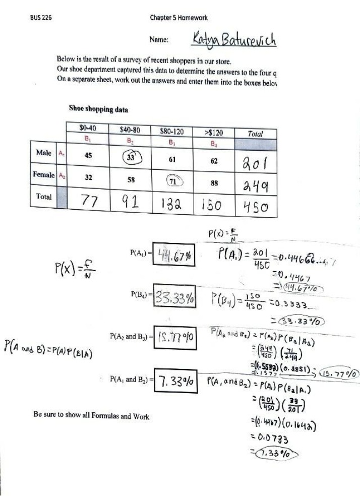 Shoe Shopping Data - BUS226 Chapter 5 Homework