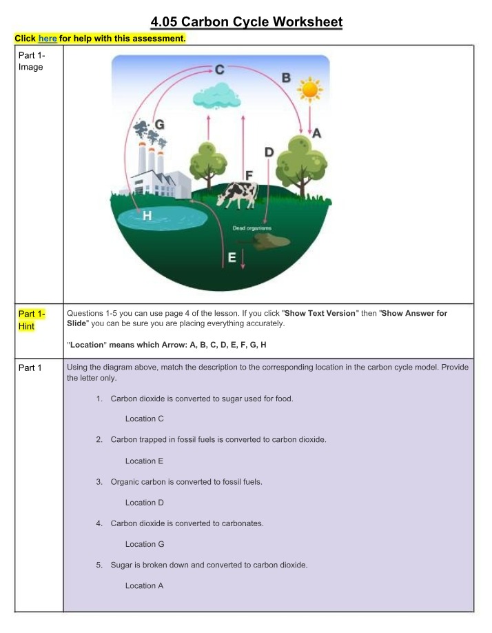 Worksheet for 4.05 Carbon Cycle