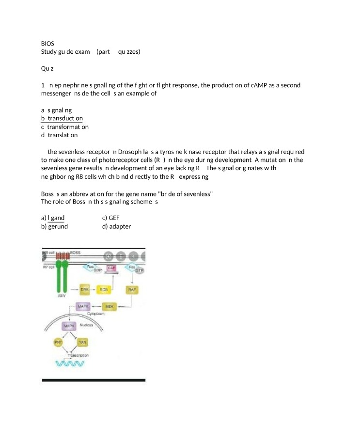 Exam 4 Part 2 Quizzes - BIOS 222 Study Guide