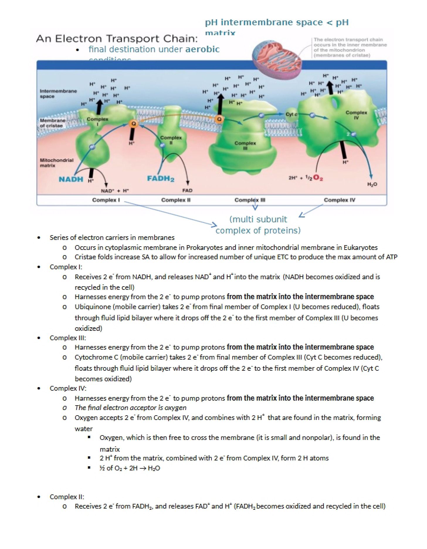 Study Resource Lecture 11