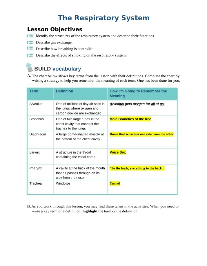 Functions and Effects of the Respiratory System
