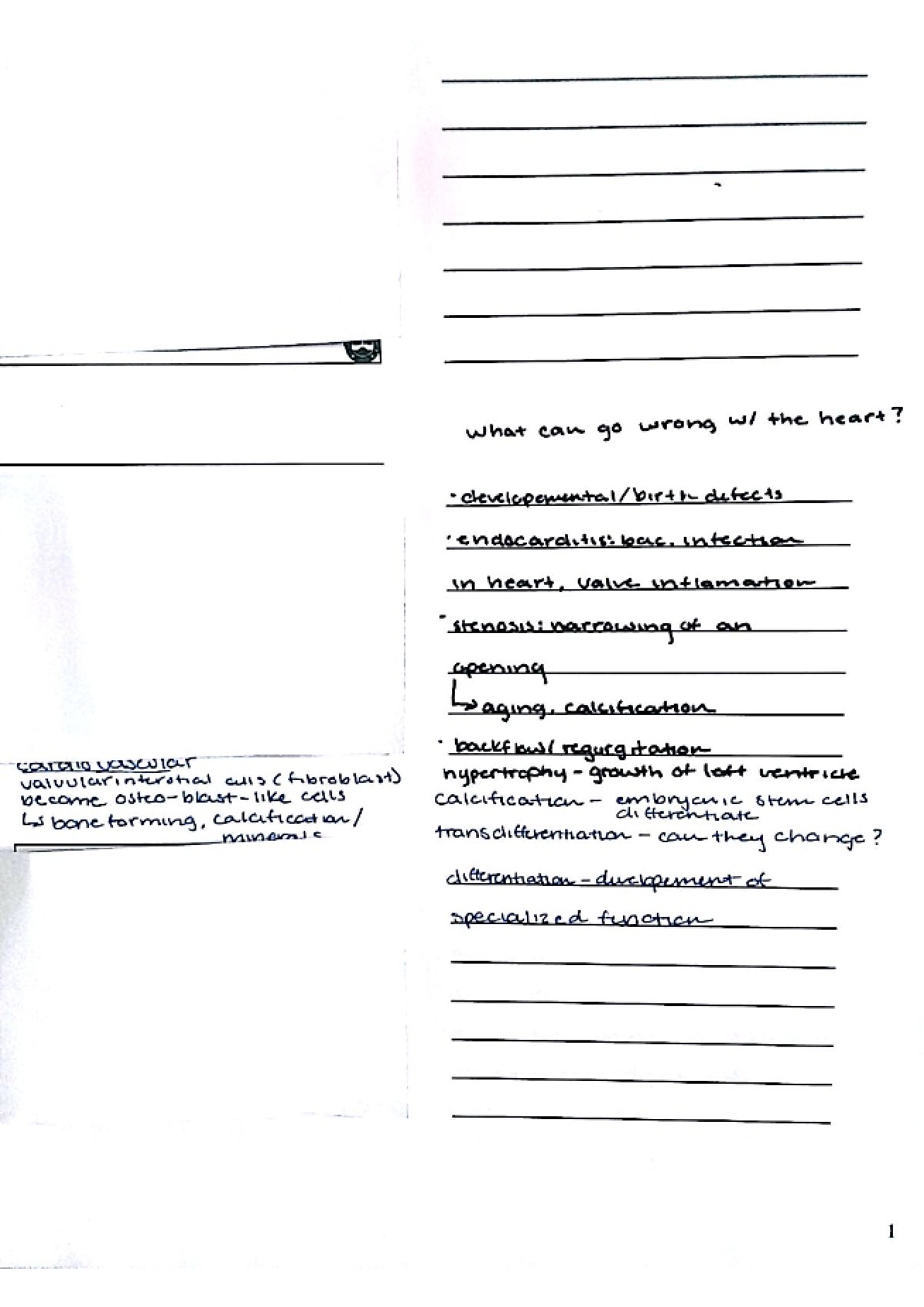 Lecture Notes Part III