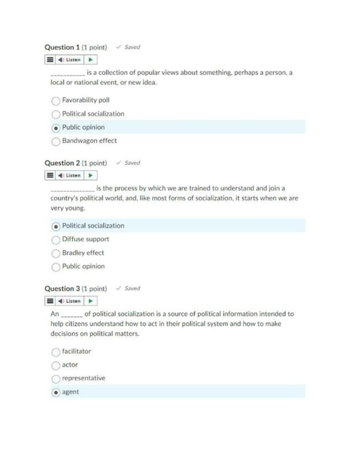 Political Socialization - Influence and Ideologies
