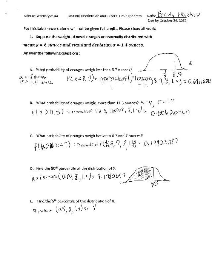 Worksheet 4 for Module