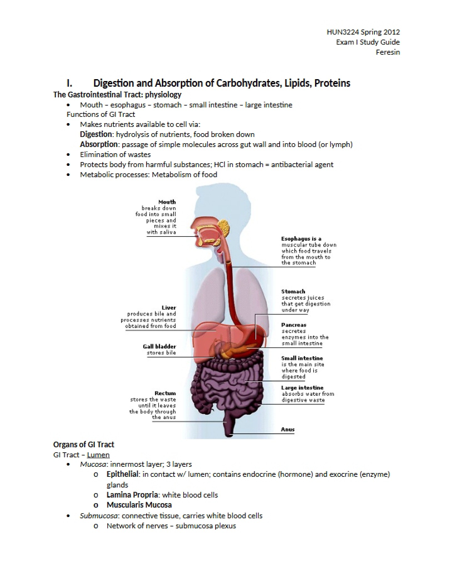 Absorption Process for Carbohydrates