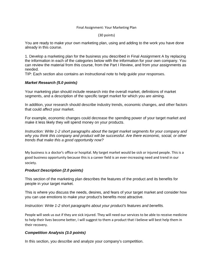 Final Assignment - Marketing Plan