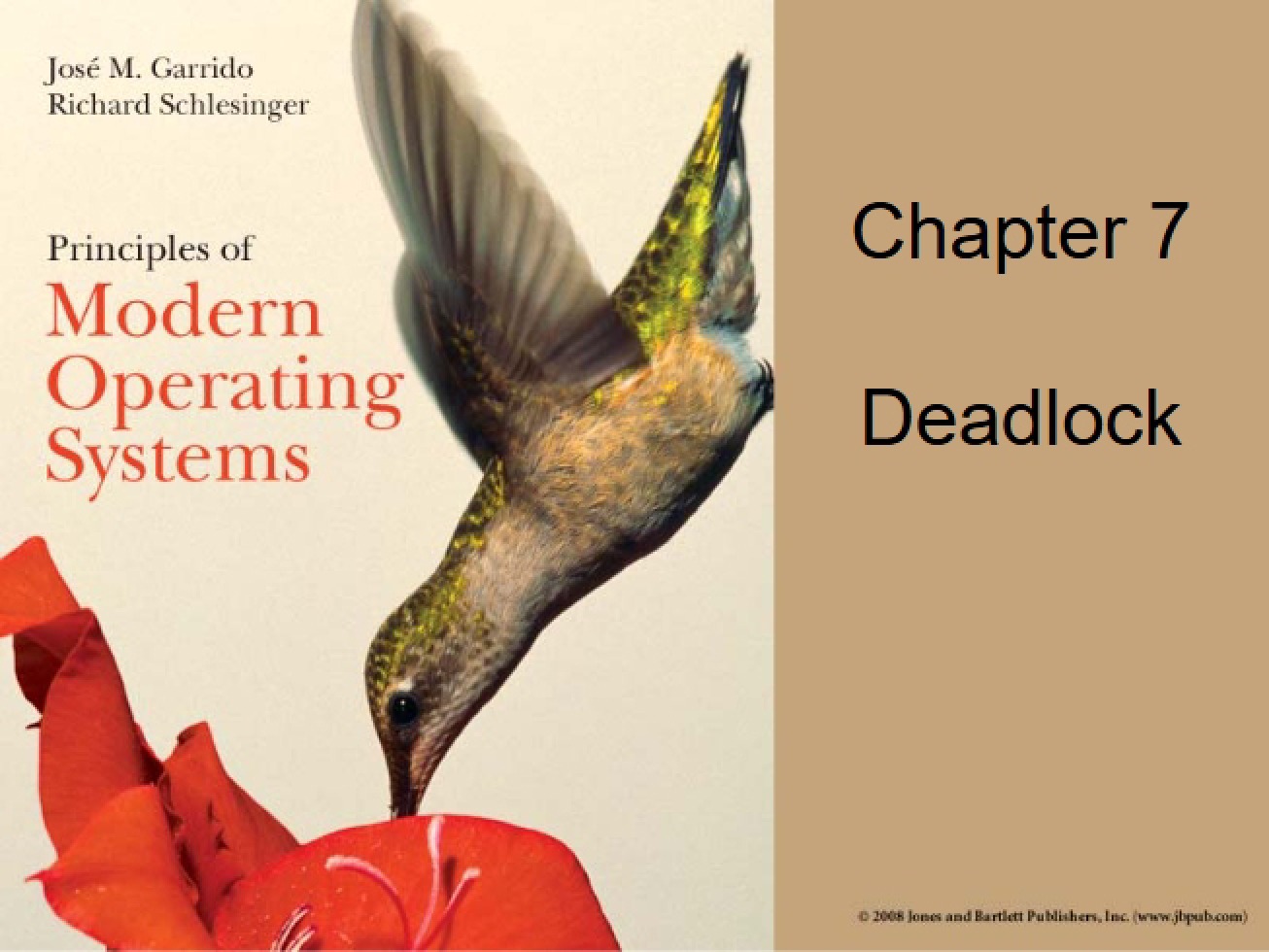 Principles and Solutions for System Deadlocks