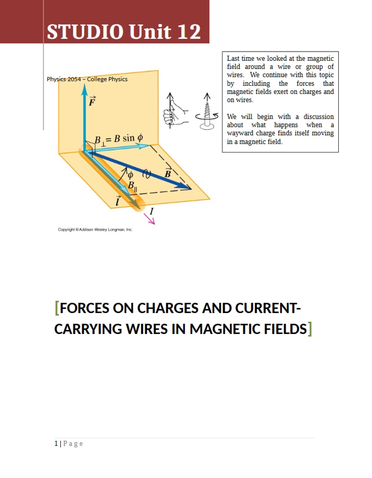 Magnetic Field Forces on Charges