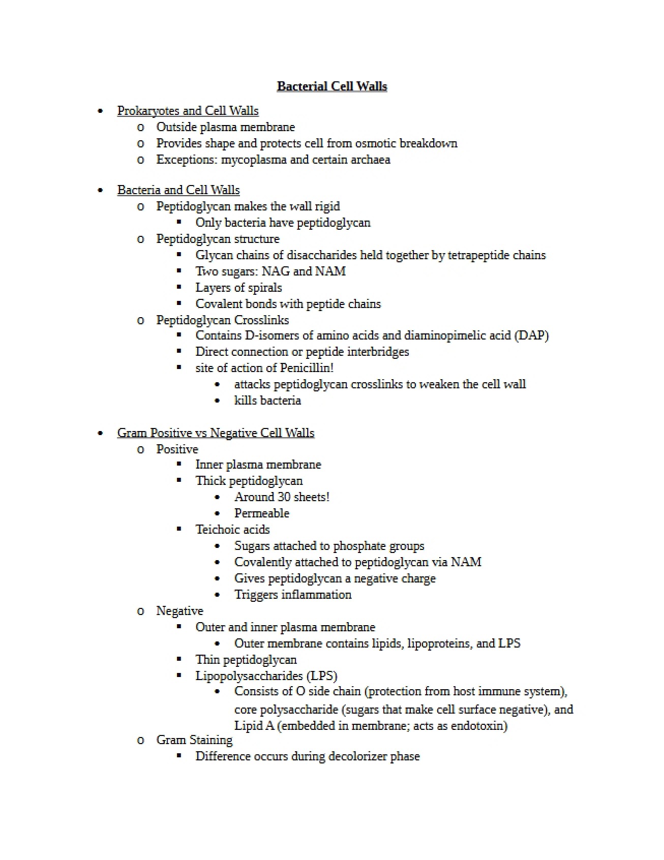 Bacterial Cell Wall Structure