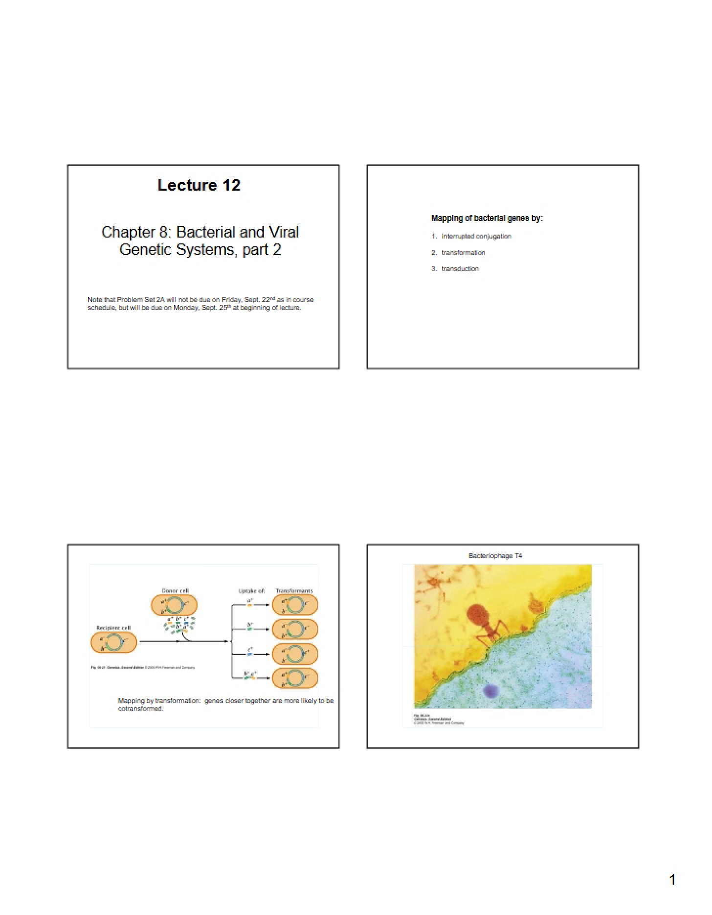 Genetic Systems of Bacteria and Viruses (Part 2)