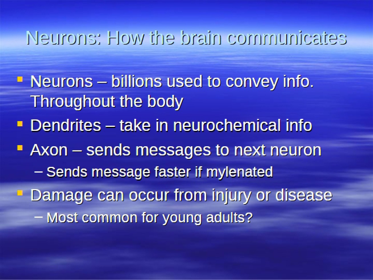Nerve Cells