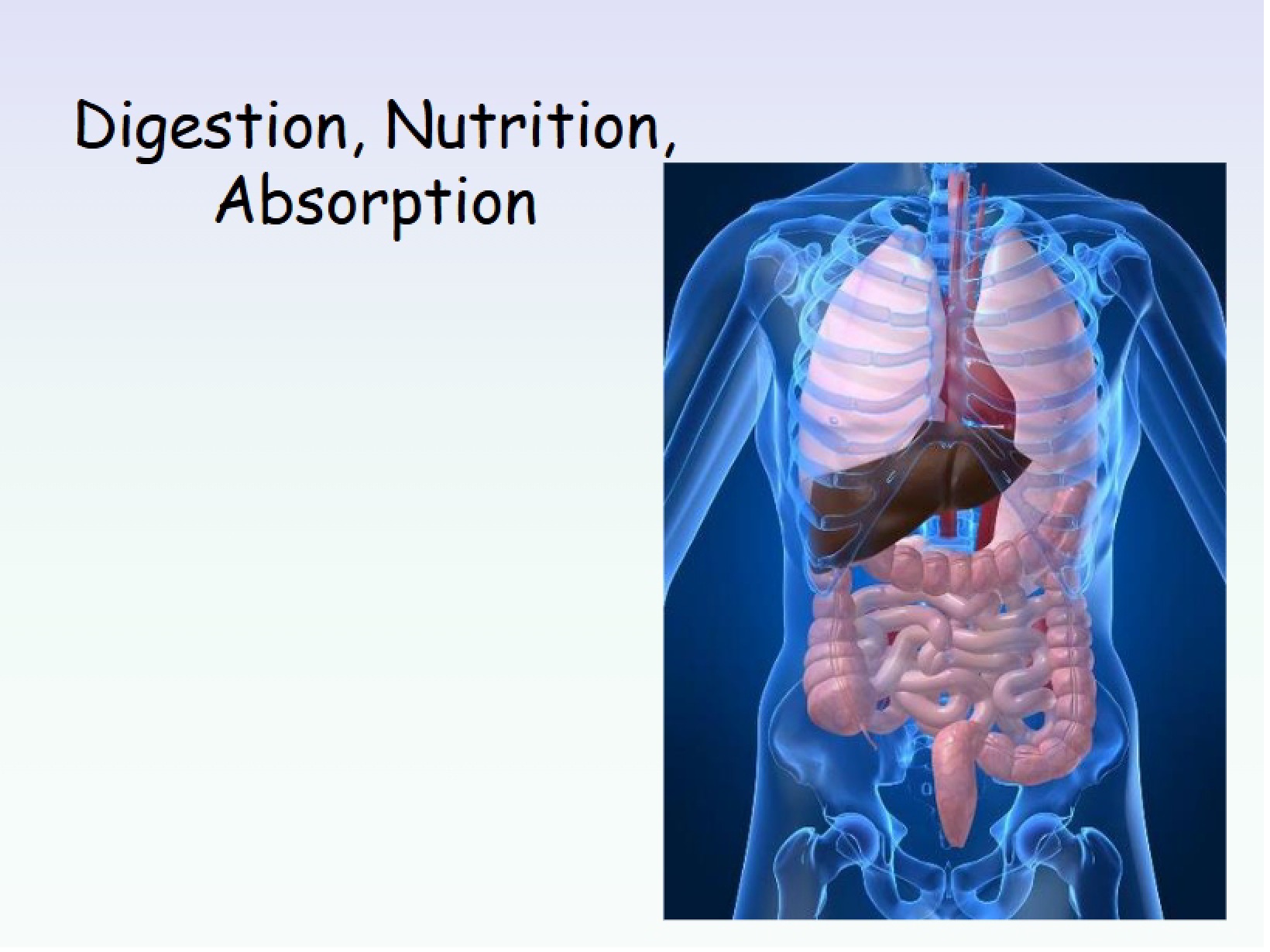 Absorption, Nutrition, and Digestion