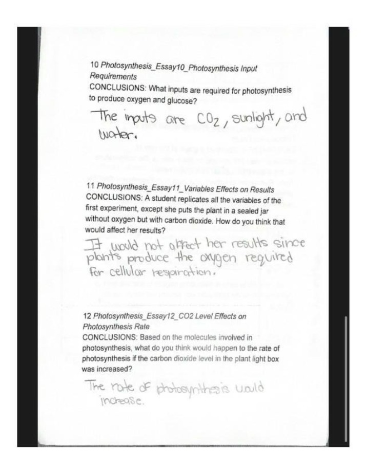 Essays on Photosynthesis