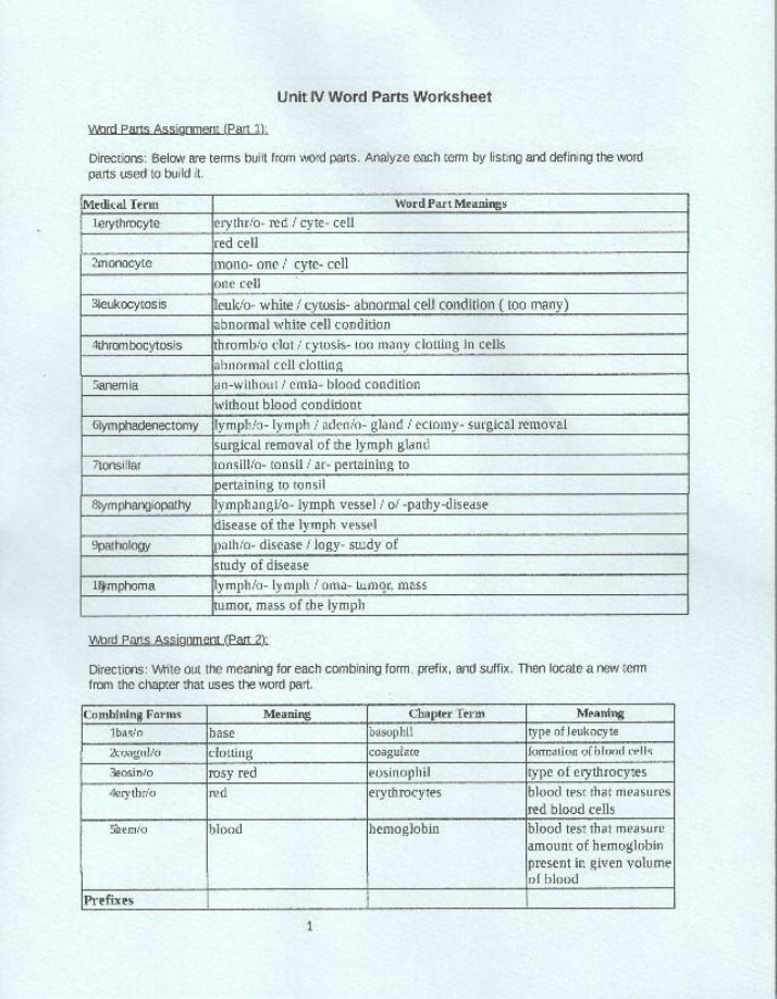 Word Parts Worksheet for Unit IV