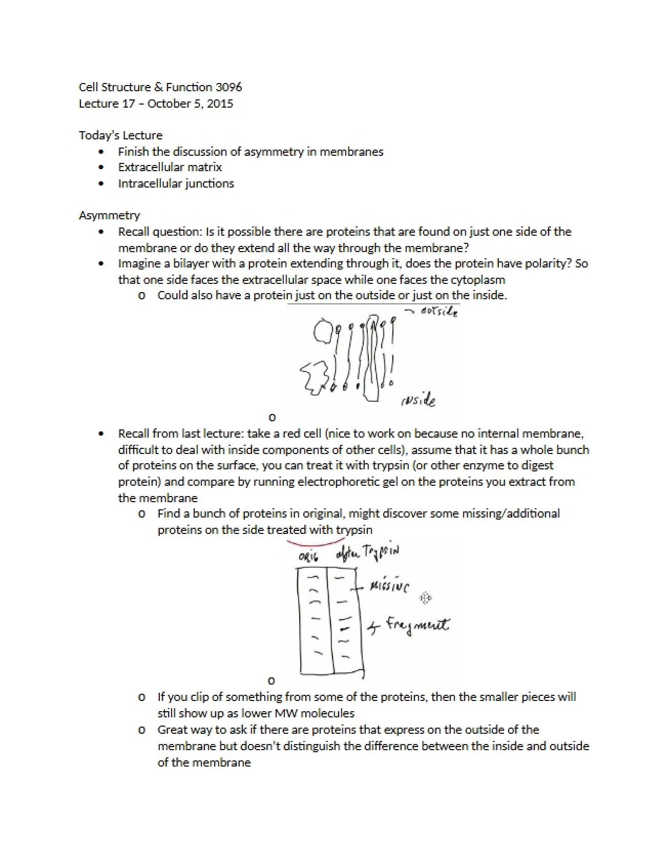 Cellular Structure and Function
