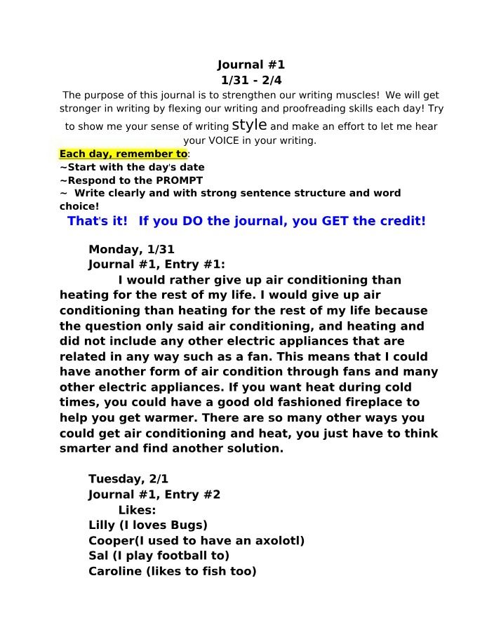 Writing Exercises - Journal 1