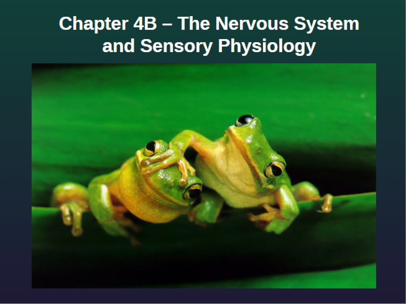 Presentation Slides Chapter 4B