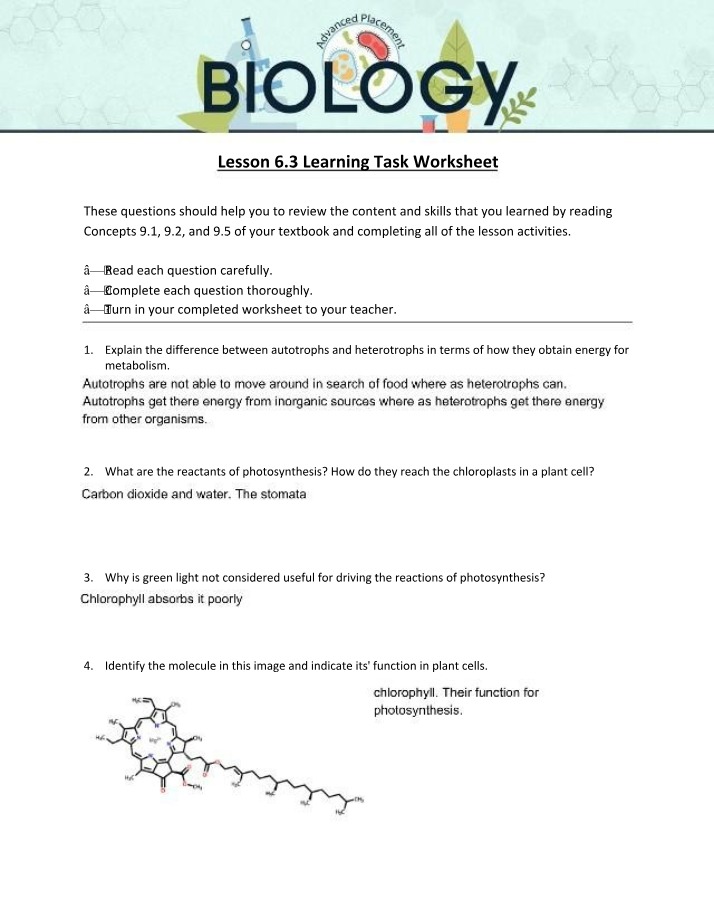 Worksheet for Lesson 6.3 Learning Task