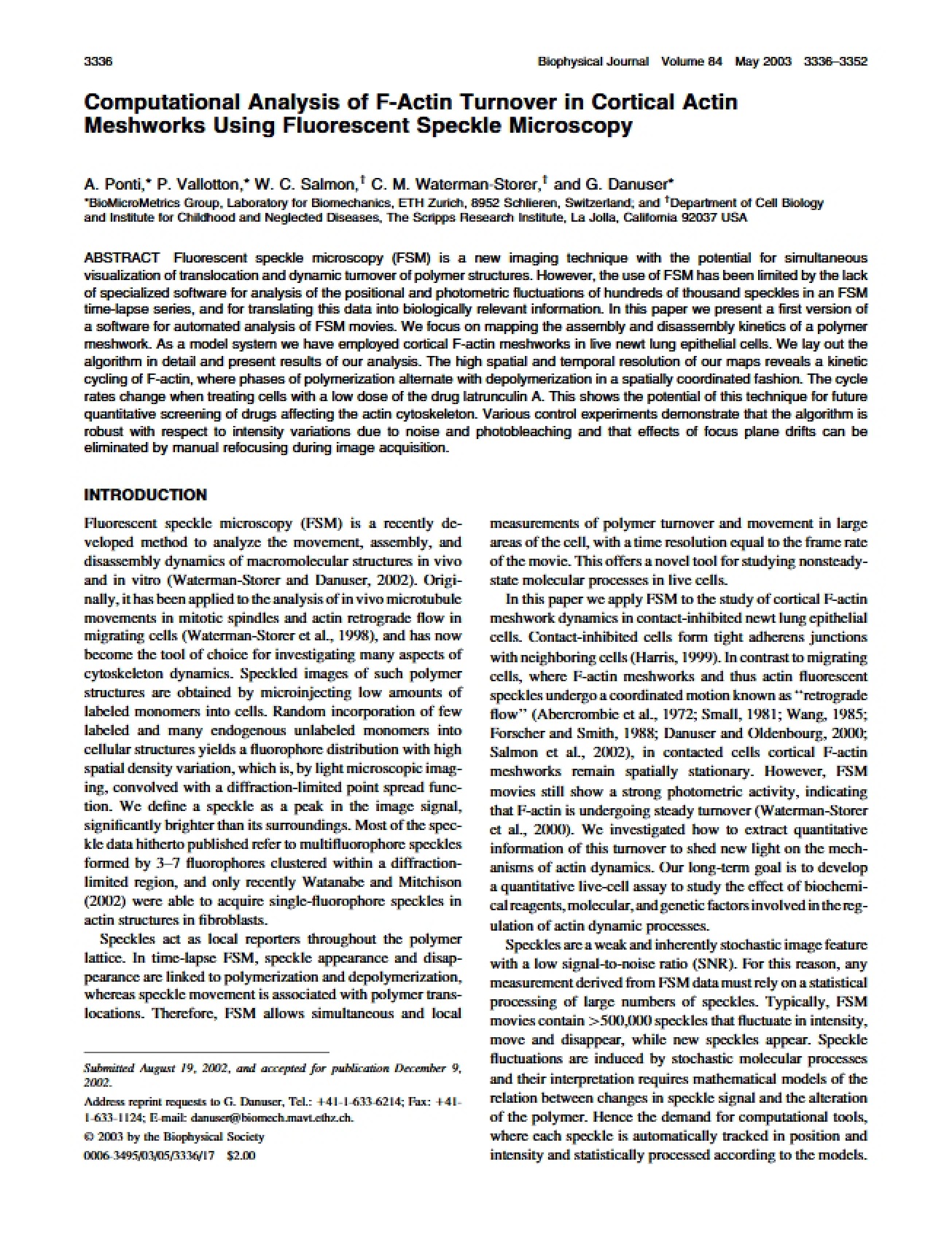 F-Actin Turnover Computational Analysis